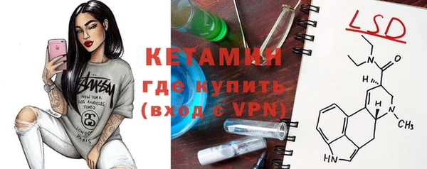 шишки Щёлкино