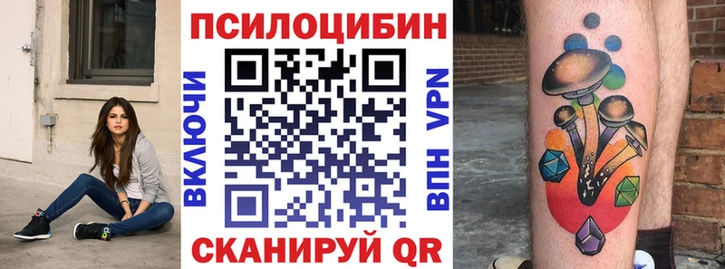 как найти закладки  Бобров  Псилоцибиновые грибы прущие грибы 