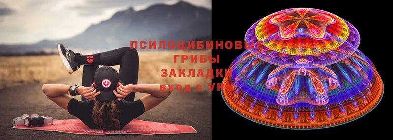 Галлюциногенные грибы MAGIC MUSHROOMS  Бобров 